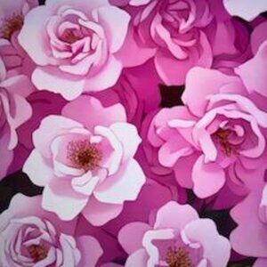 Meet your Posher, Krystle